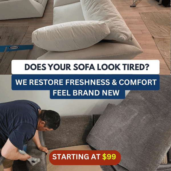 YOU NEED OUR CARPER IN YOUR LIFE CLEANING 1