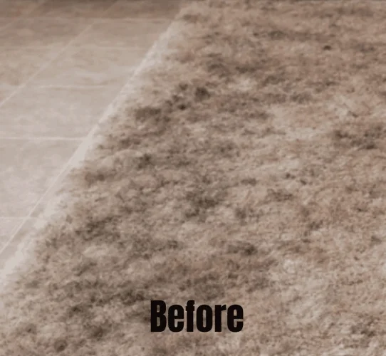 Before cleaning carpet