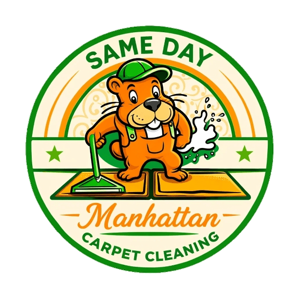 Same Day Manhattan Carpet Cleaning