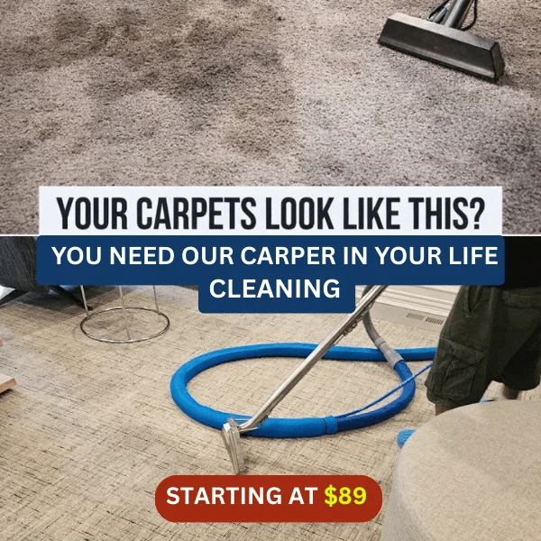 YOU NEED OUR CARPER IN YOUR LIFE CLEANING 2